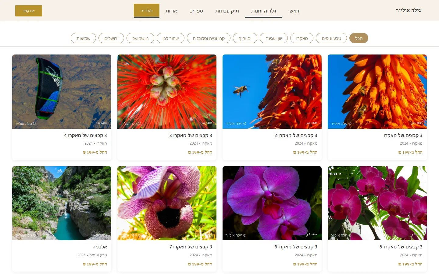 הגלריה והחנות של גילה אולייר: סרגל 9 קטגוריות ורשת תמונות