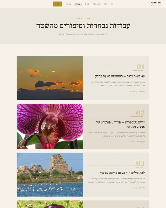 מוקאפ תיק העבודות