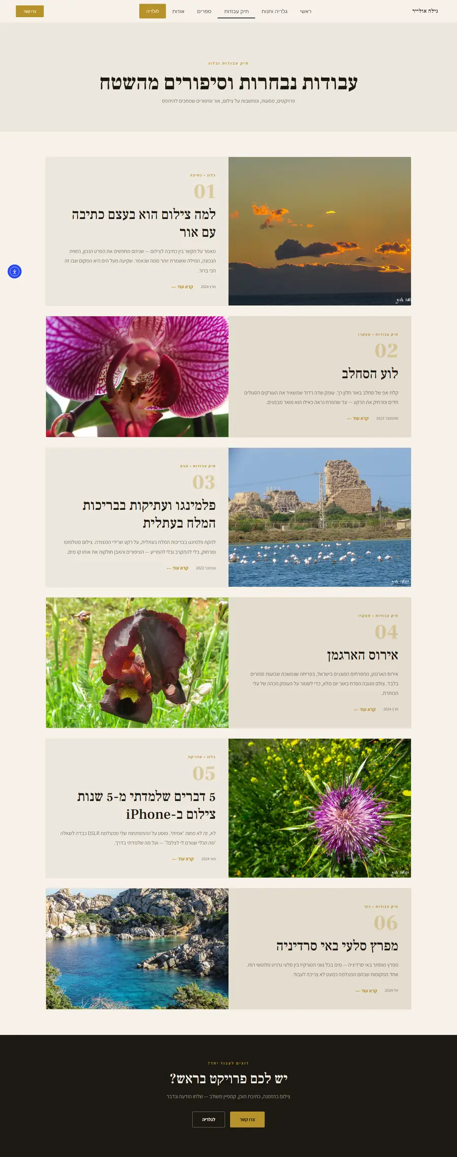 עמוד תיק העבודות המלא