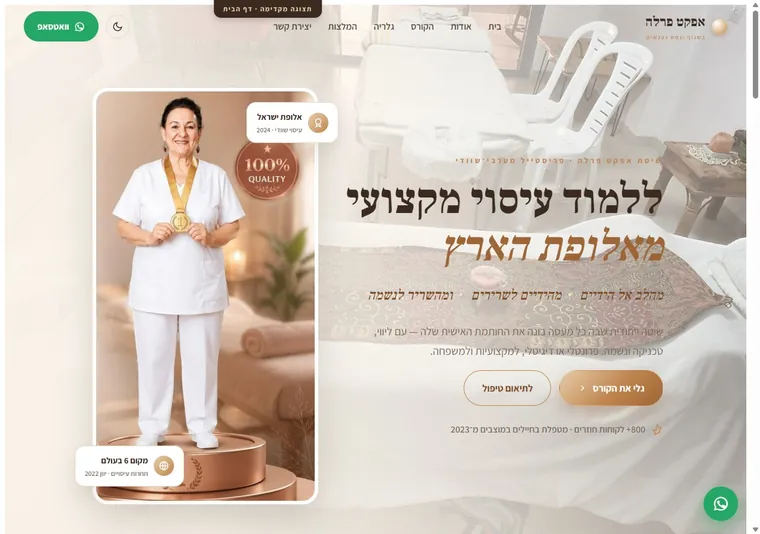התצוגה הראשונה של דף הבית